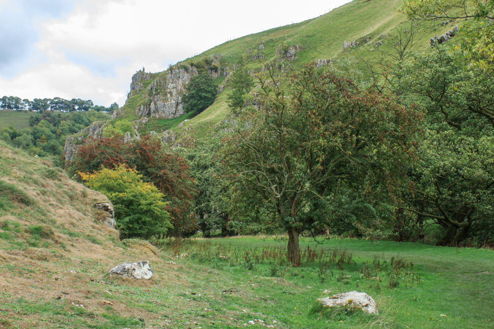 Peaseland Rocks